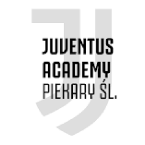 Juventus Academy 19B logo